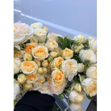Роза Баттеркап