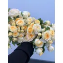 Роза Баттеркап