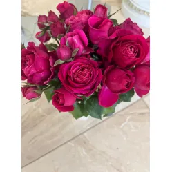 Роза Ханна